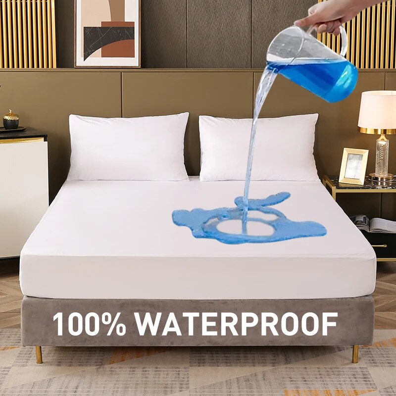 Cute Dachshund Dog Bath Mat Ab - Quick Dry Diatomite Bath Mat 评论和价格